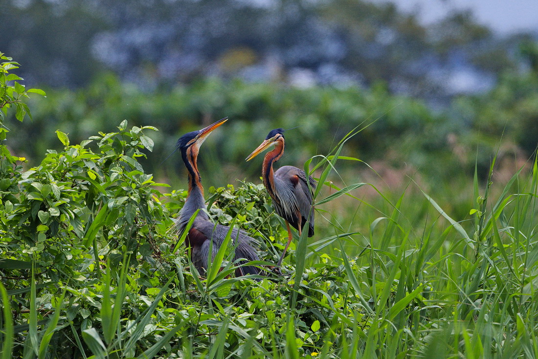 http://i.dcview.tw/gallery/201104/d74c0f352a652a213eb4451399730af2.jpg