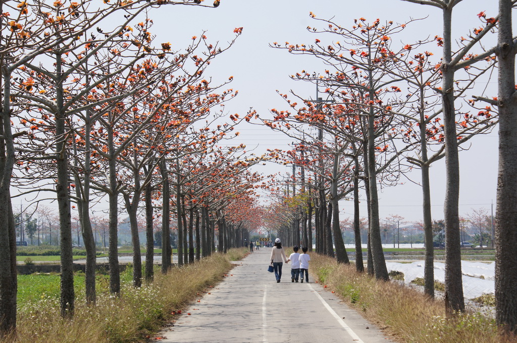 http://i.dcview.tw/gallery/201104/d7fd0d9e54cb6d7d7c2b380c5c28bf04.jpg