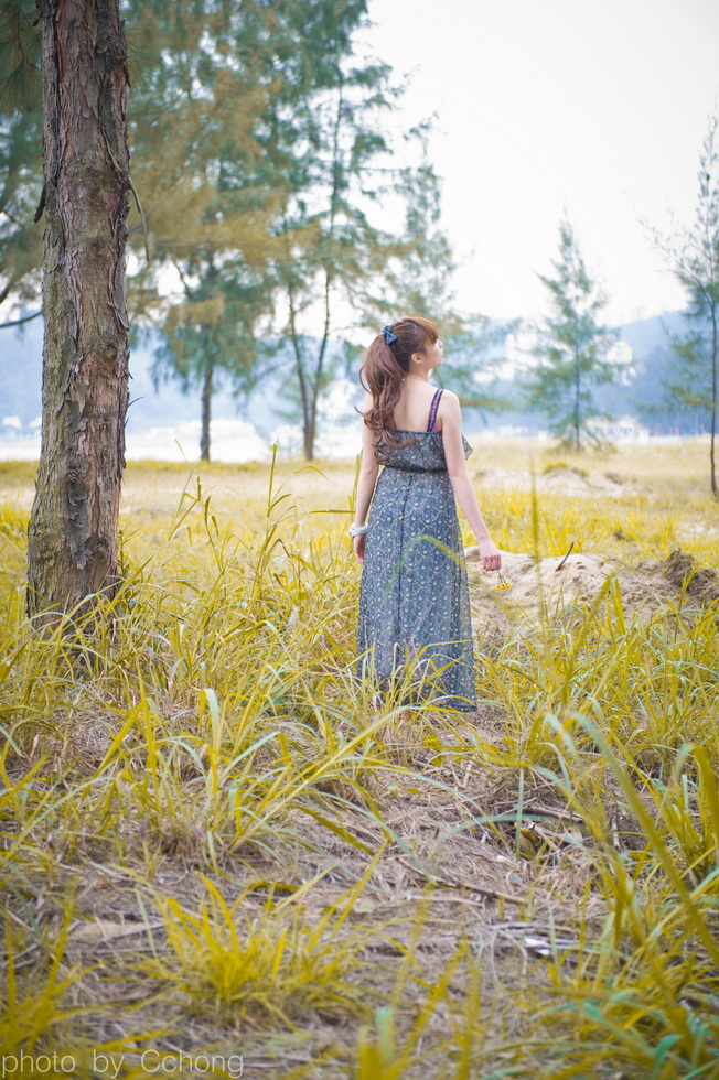 http://i.dcview.tw/gallery/201104/de38d75b1bb4c608063be2ade0c8306f.jpg