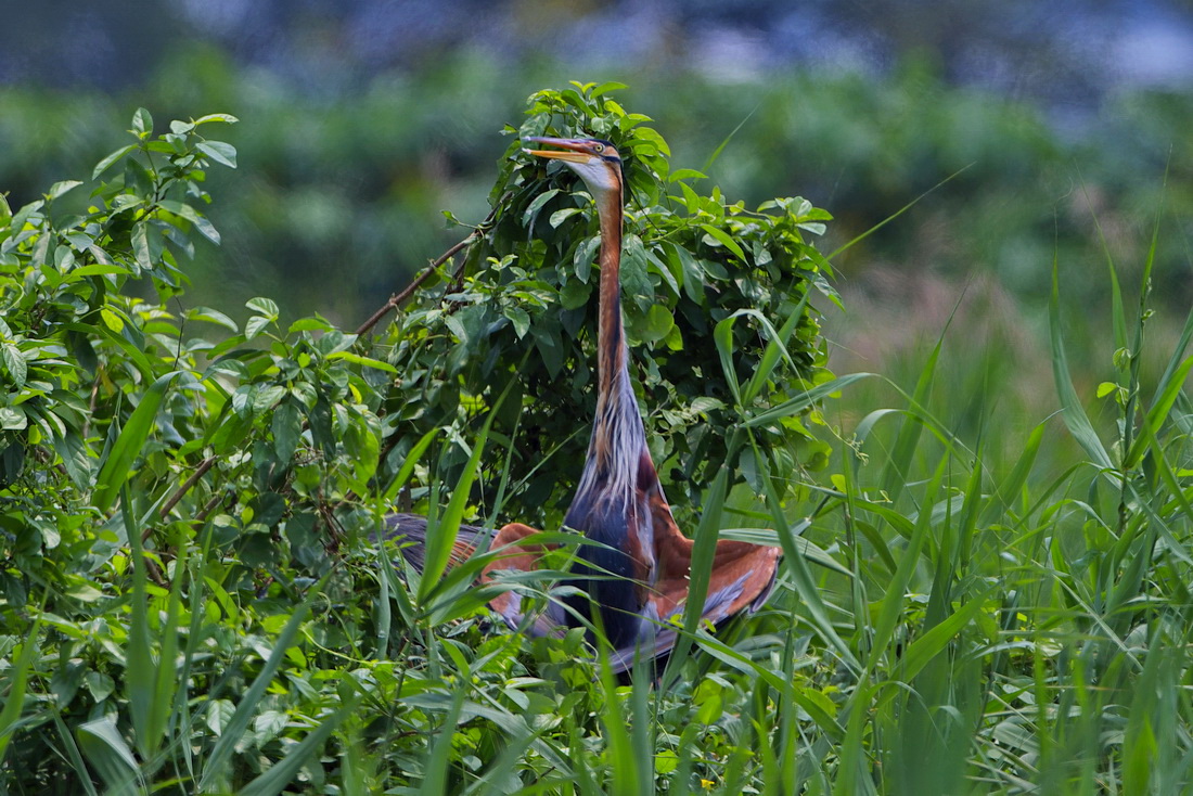 http://i.dcview.tw/gallery/201104/e16e26f585903f9fb9f8f0552f7d03da.jpg