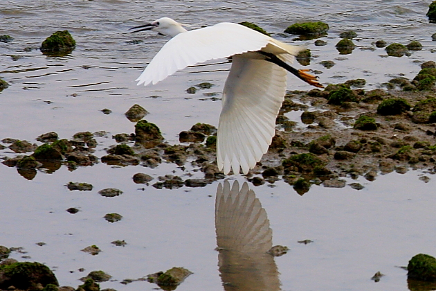 http://i.dcview.tw/gallery/201104/ea89e339207e9c62f7428669d16c49bb.jpg