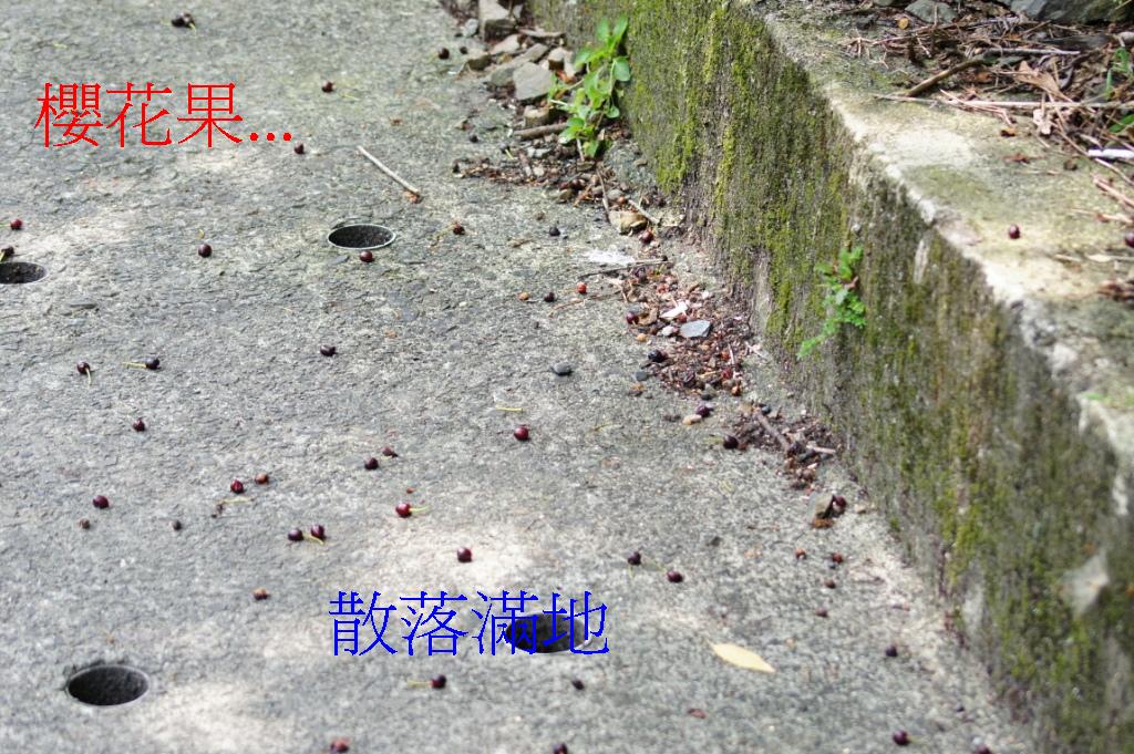 http://i.dcview.tw/gallery/201104/f6cd2a5af2f8bb3869ee3f083007dfe5.jpg
