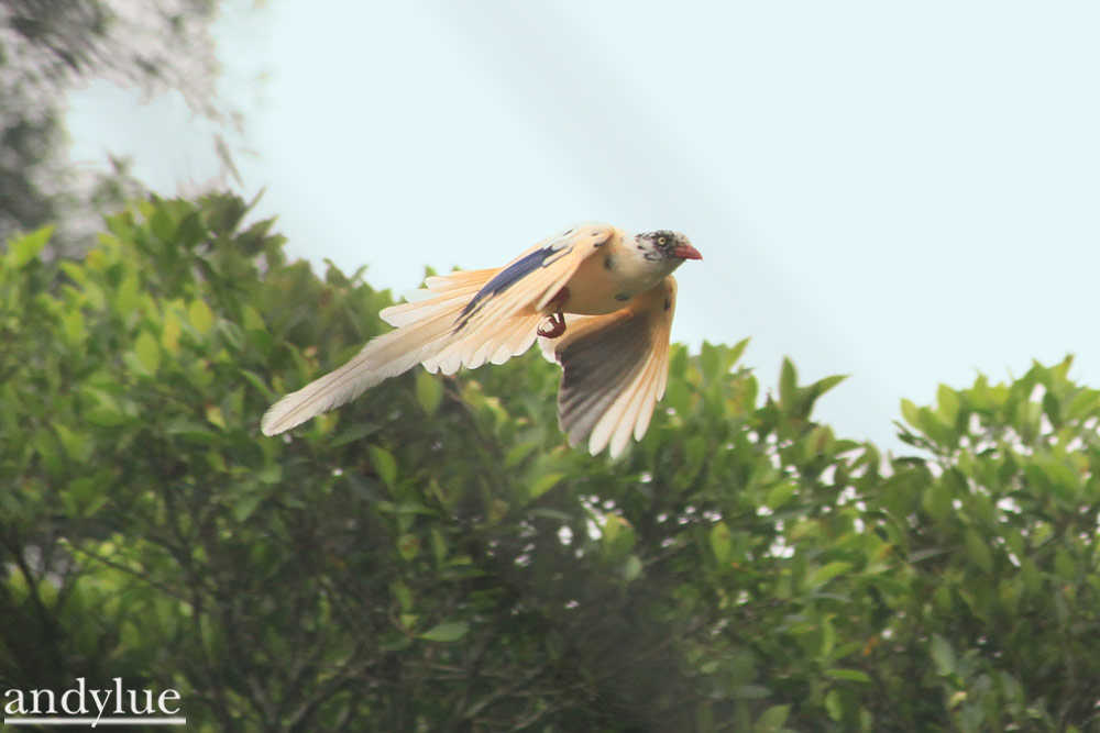 http://i.dcview.tw/gallery/201104/fd85d929b841ce224583833f9b6f0146.jpg