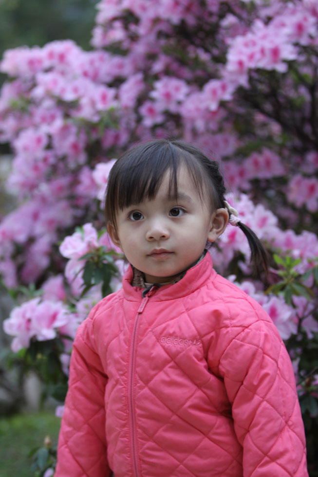 http://i.dcview.tw/gallery/201104/fd9e114a1dfa3364ae7ef77bb02c3985.jpg