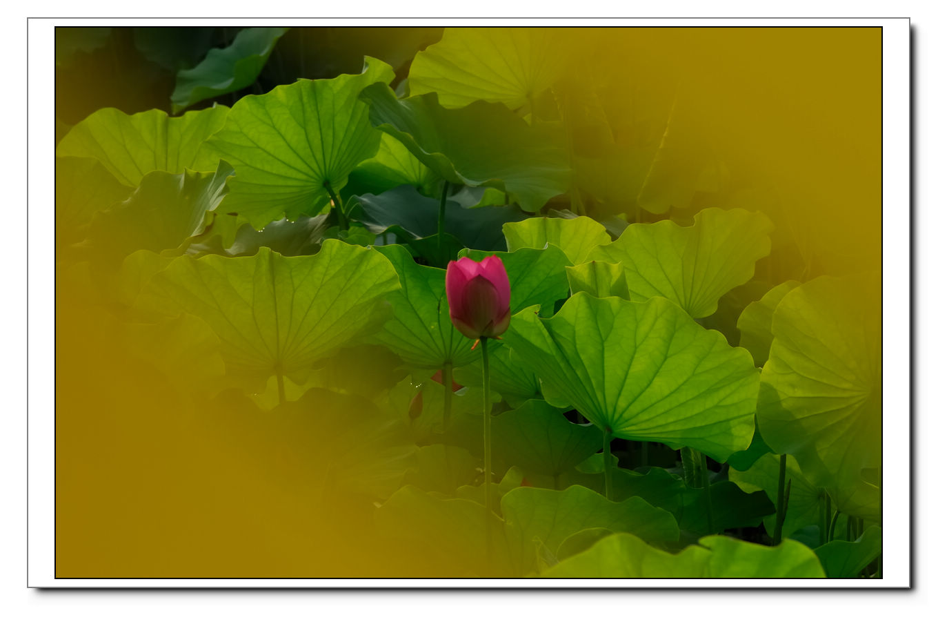 http://i.dcview.tw/gallery/201105/01121be11e3ced4554c3d27e9edd0f7e.jpg