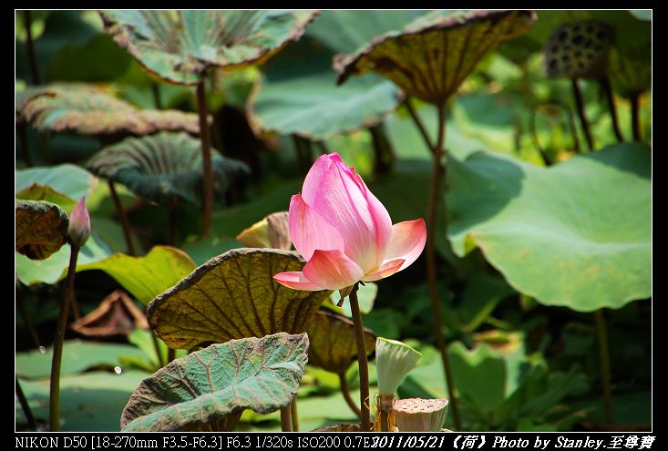 http://i.dcview.tw/gallery/201105/05c15a31e0ec7bc819d7e0f5d09da3b9.jpg