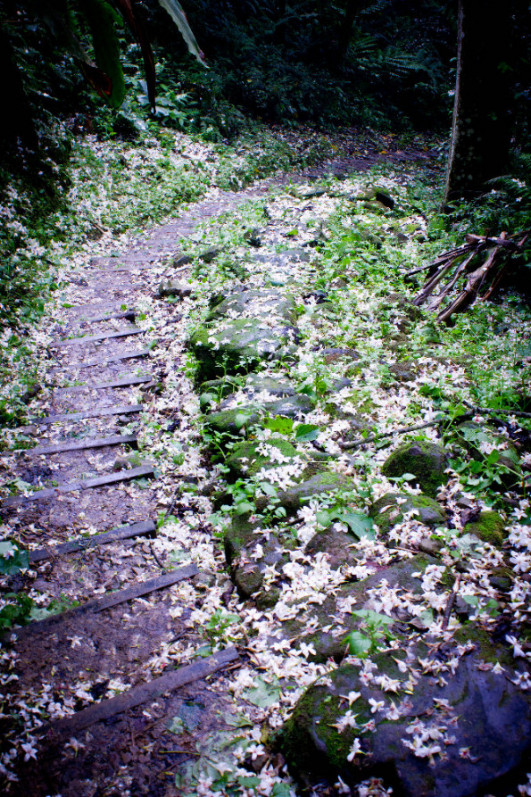 http://i.dcview.tw/gallery/201105/07c4d08aded5a874cf31eb143e7c5efd.jpg