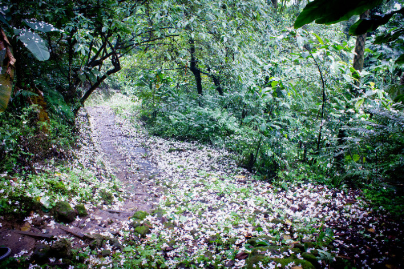 http://i.dcview.tw/gallery/201105/0d9b51ea2b1396636da4500f0d618bbe.jpg