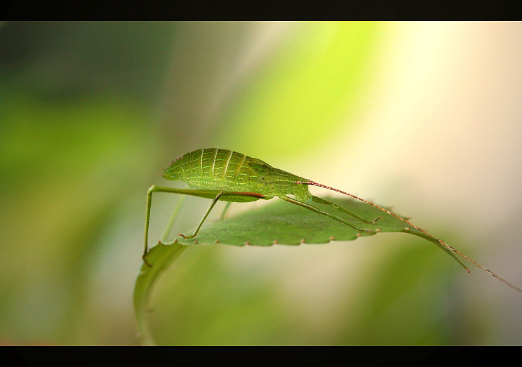 http://i.dcview.tw/gallery/201105/0e32f27a8127107cbec2206e6c28bfdc.jpg