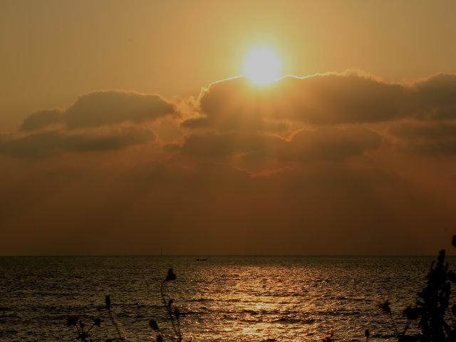 http://i.dcview.tw/gallery/201105/1024349c8ae260638fb1e81be8a18906.jpg