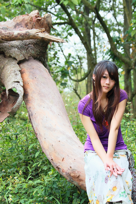 http://i.dcview.tw/gallery/201105/1648e27959ca77c9b280047cdbd0a2f2.jpg