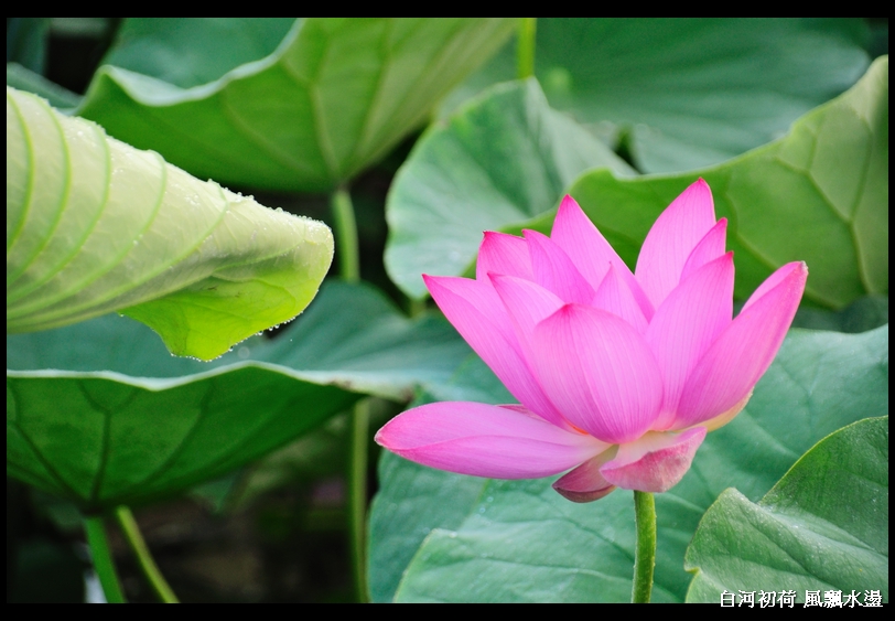 http://i.dcview.tw/gallery/201105/18a645b45f0979206acad4de565a8be4.jpg