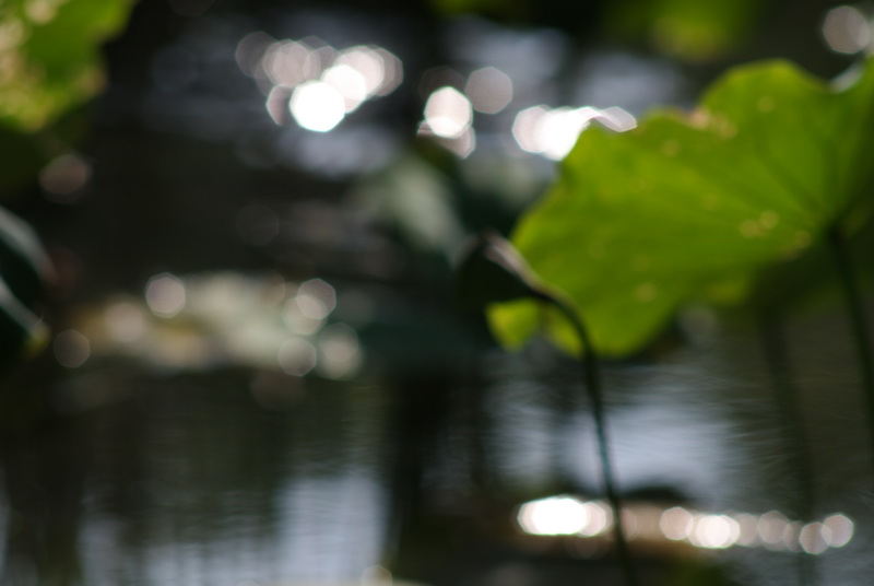 http://i.dcview.tw/gallery/201105/2e48a25816b50d00ea7d36700b5a744b.jpg
