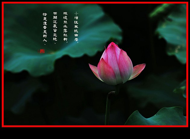 http://i.dcview.tw/gallery/201105/334762e8b9421df044740f0856efa1ff.jpg
