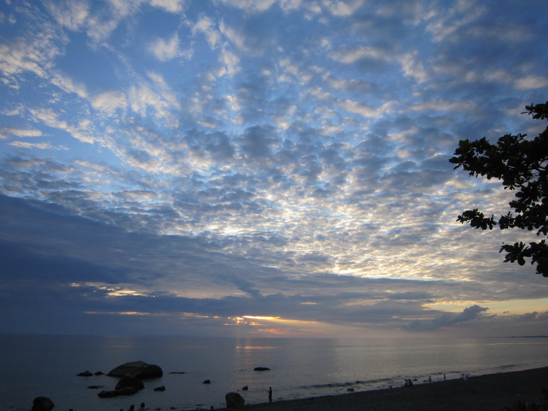 http://i.dcview.tw/gallery/201105/382303eaa7860774dd0aa73f0036fc67.jpg