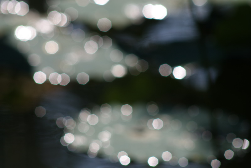 http://i.dcview.tw/gallery/201105/3d8d4716da05fdcaedeec6f24701c9cc.jpg