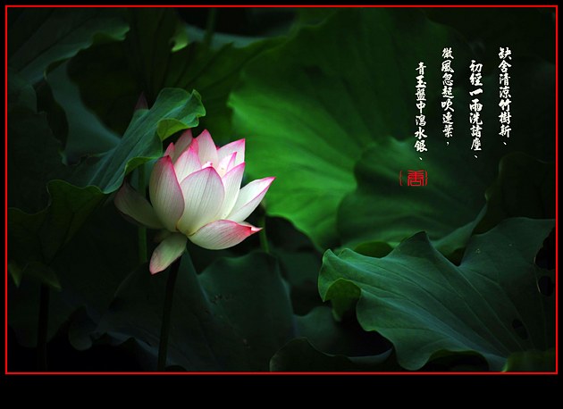 http://i.dcview.tw/gallery/201105/42eac2a5f23935f41ed2b8ab6e56873c.jpg