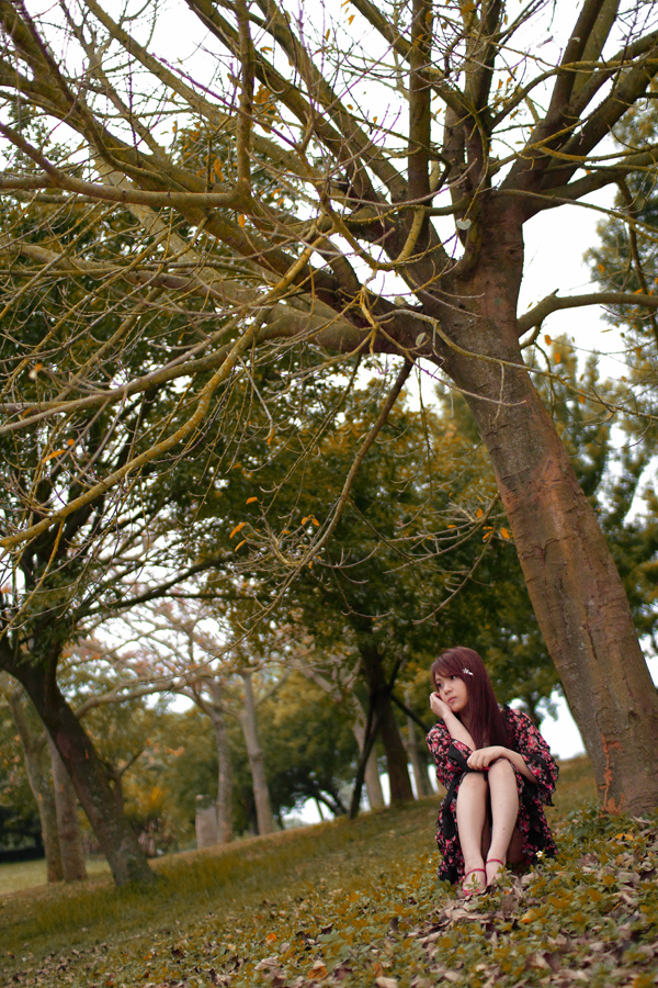 http://i.dcview.tw/gallery/201105/47a603a7ac9f2db2ca00c427ed39a01a.jpg