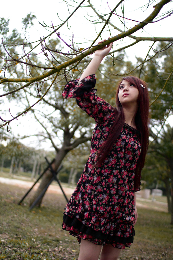 http://i.dcview.tw/gallery/201105/535d37b6217fa4a0ff181acd8c517c25.jpg