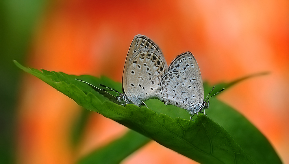 http://i.dcview.tw/gallery/201105/539784b50812cdb99878afb5e47e3507.jpg