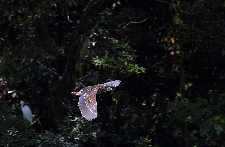 http://i.dcview.tw/gallery/201105/635c67fb90a878c78cfb19a50450fd13.jpg