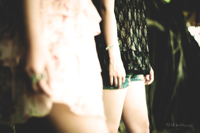 http://i.dcview.tw/gallery/201105/6871e031884791a5501aa4e7e6046d71.jpg