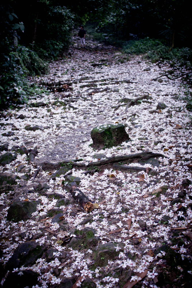 http://i.dcview.tw/gallery/201105/6e296880838ad6066f06efac02833a6a.jpg