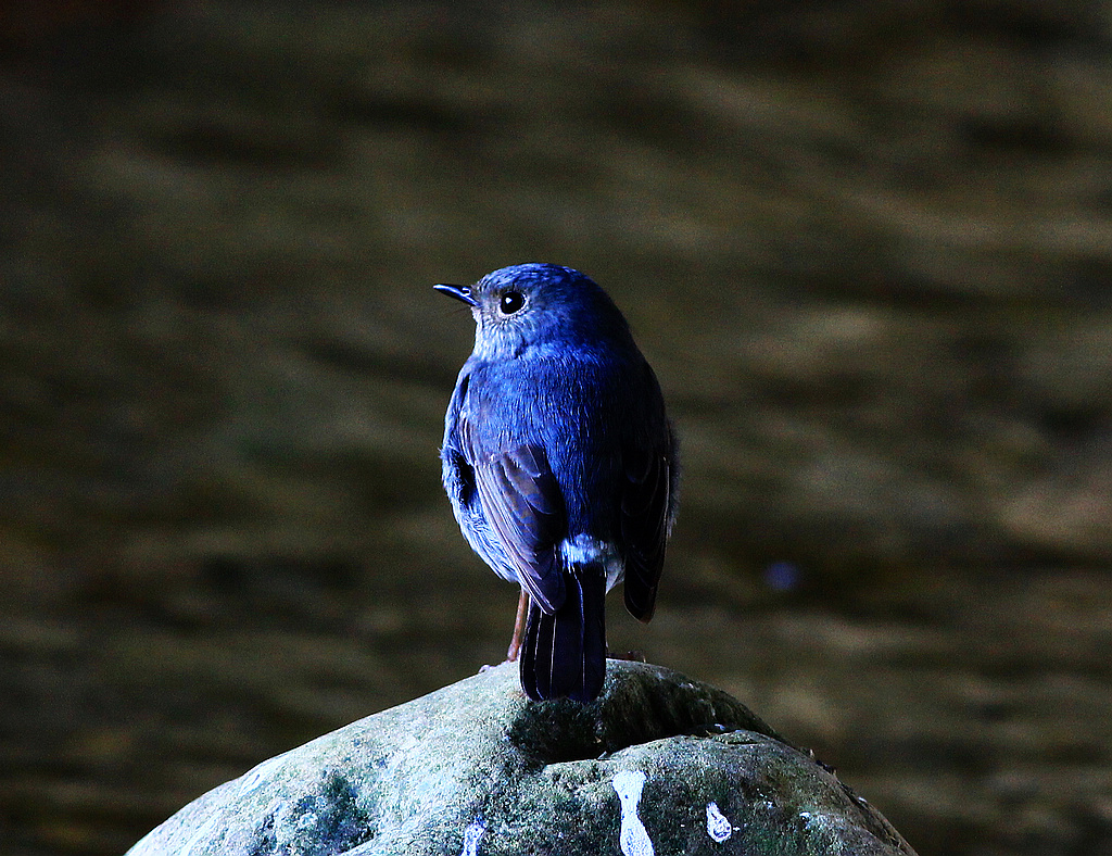 http://i.dcview.tw/gallery/201105/73212c59751c71e522fd0e25c53e55c2.jpg