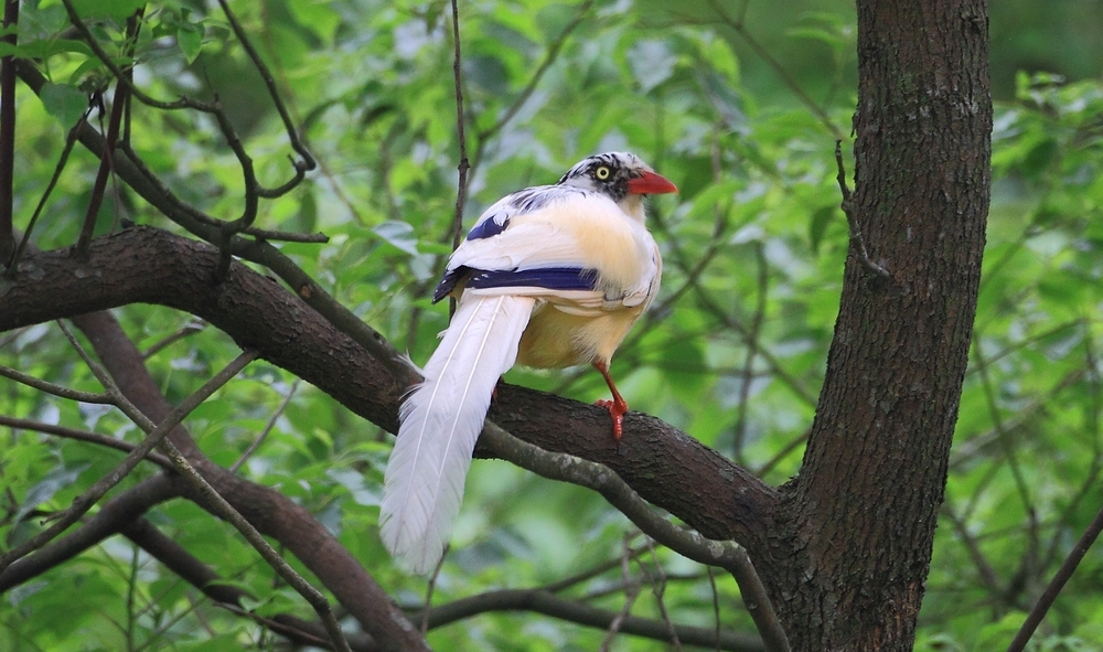 http://i.dcview.tw/gallery/201105/7b7573e90bdfe4ee31808a7c2961f519.jpg