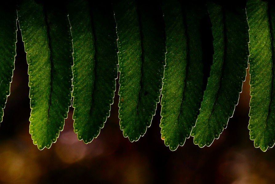 http://i.dcview.tw/gallery/201105/831b67c031e5fdf98e717b3e0ca8a9ee.jpg