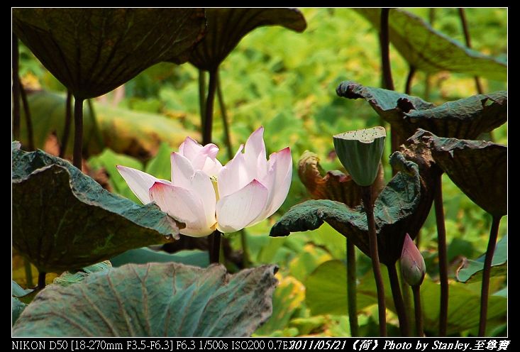 http://i.dcview.tw/gallery/201105/85c1dba00967432b39b640b85d1c8777.jpg