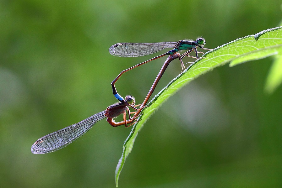 http://i.dcview.tw/gallery/201105/88f3a0a40e282119e7a17d48b40269f1.jpg