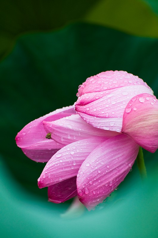 http://i.dcview.tw/gallery/201105/94e25684d28be2ad0ffff97ec332ab9c.jpg