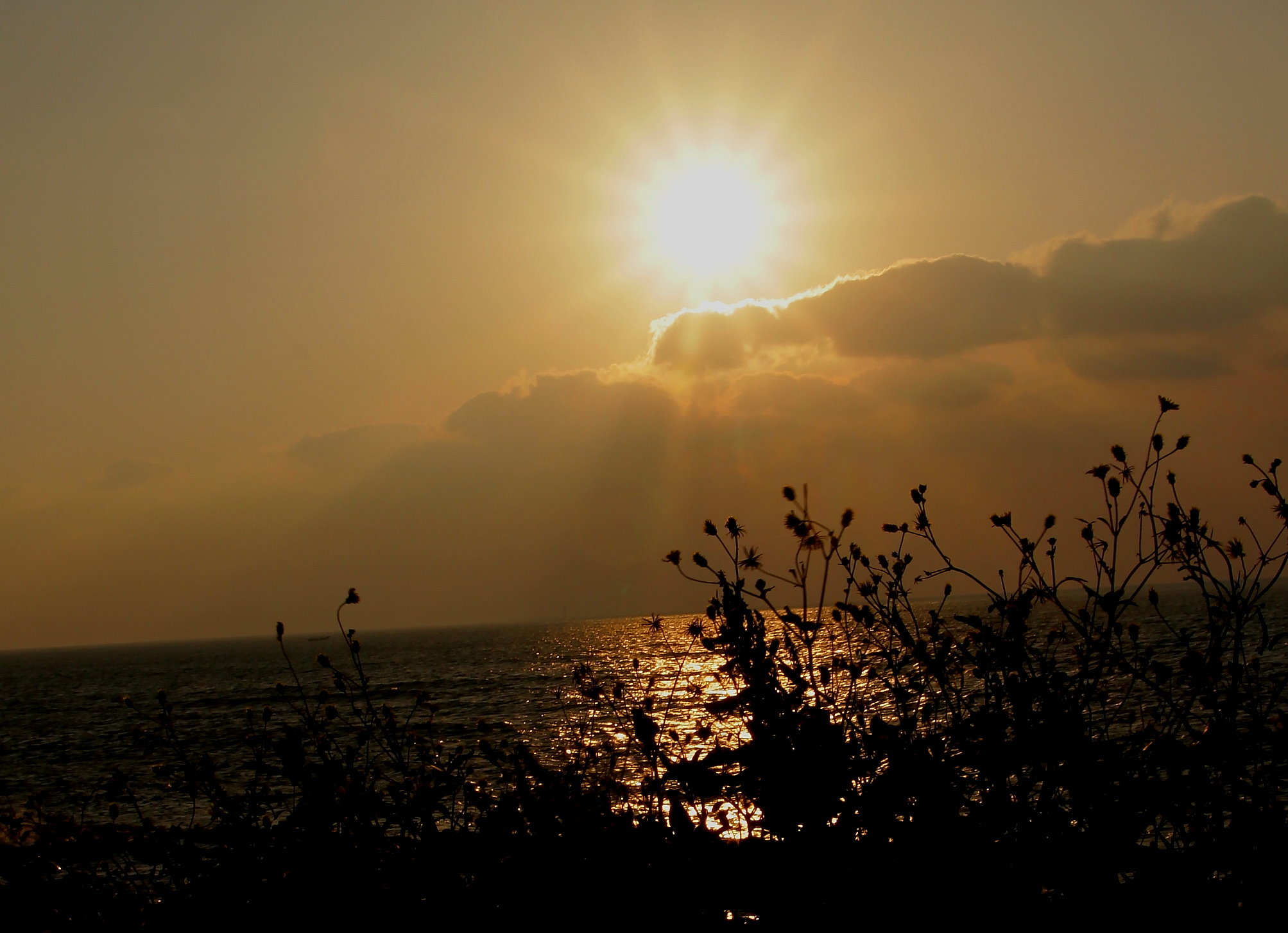 http://i.dcview.tw/gallery/201105/9742278816ff3ac1cac93772ee97a096.jpg