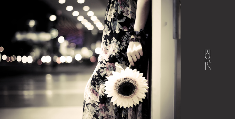 http://i.dcview.tw/gallery/201105/9786fb72f500a07084229bd36895bf7f.jpg