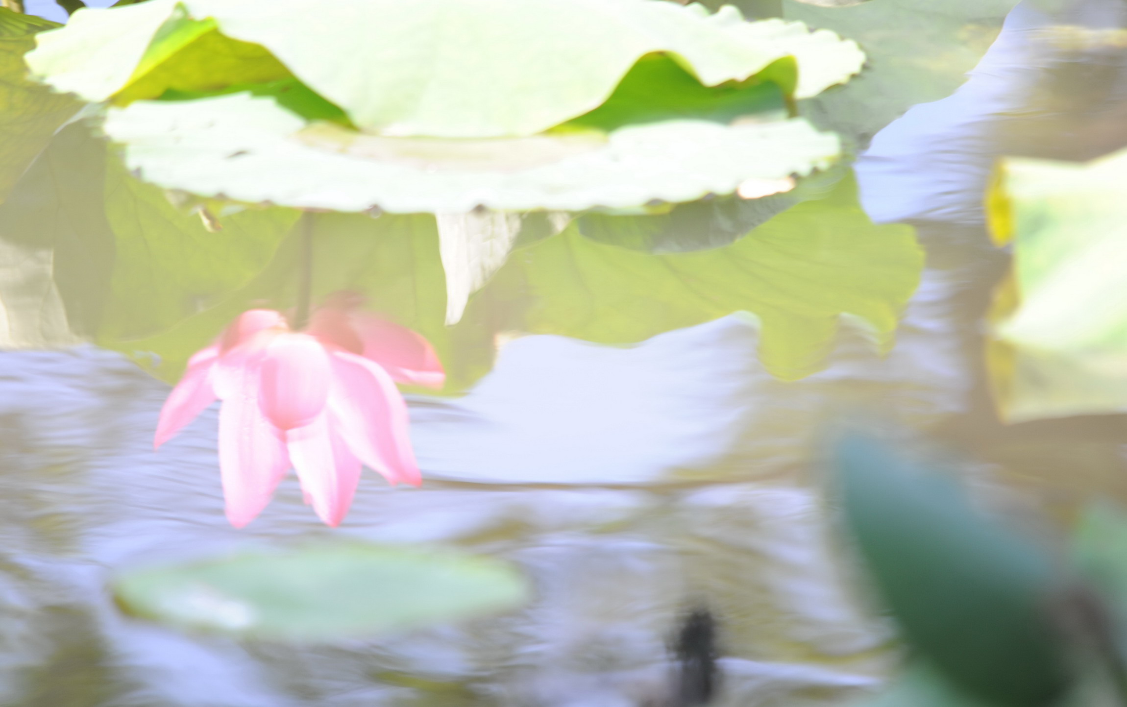 http://i.dcview.tw/gallery/201105/98620960666210944411dc0b2284ea0b.jpg