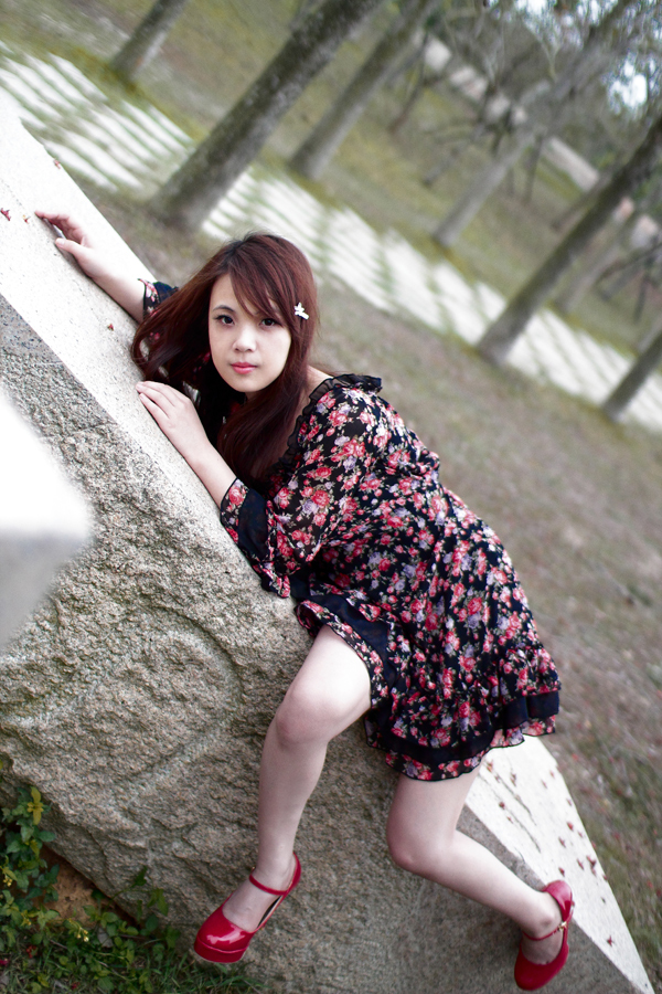 http://i.dcview.tw/gallery/201105/9c83cff71f9bf347318668102a15a88d.jpg