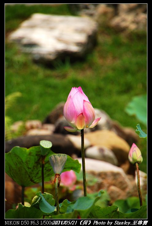 http://i.dcview.tw/gallery/201105/a21af5556c753d6029756c2db7f92c60.jpg