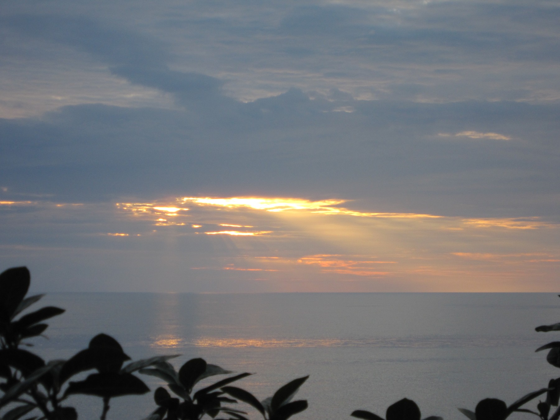 http://i.dcview.tw/gallery/201105/a65e3ba569475c222900e8e3759cc879.jpg
