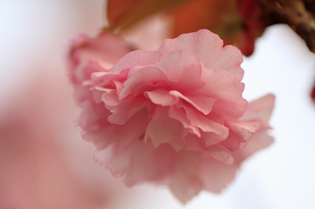 http://i.dcview.tw/gallery/201105/a72b84659a12e0c6832af7701ade017b.jpg