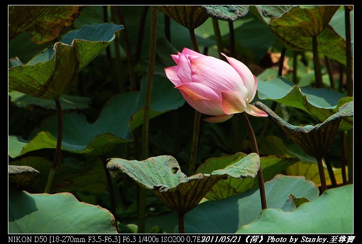 http://i.dcview.tw/gallery/201105/a9bc4f7be546393a22d67f9abbcdcc4e.jpg