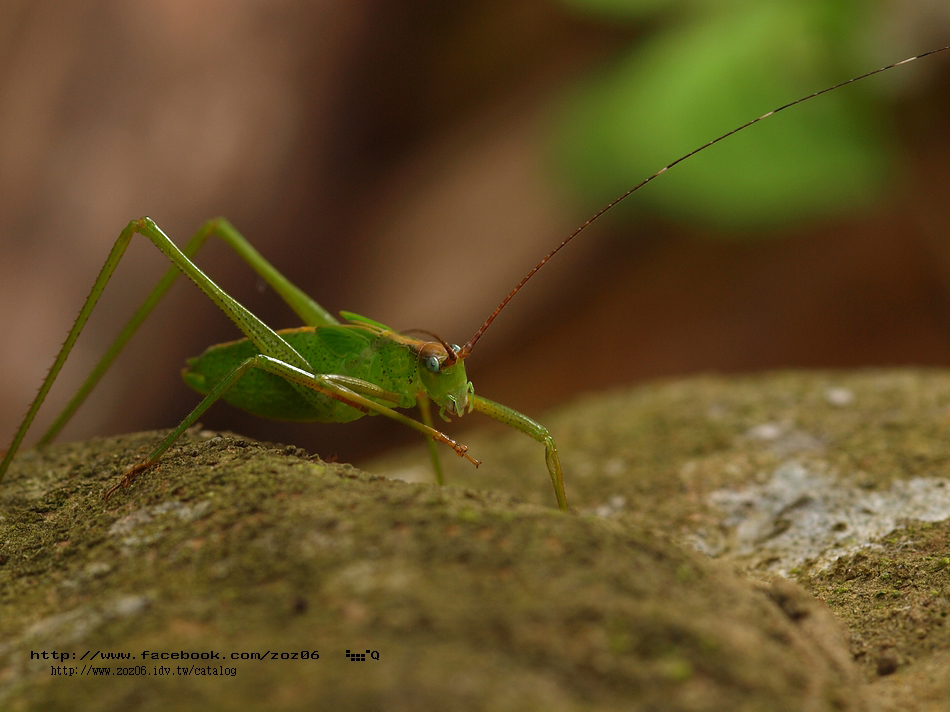 http://i.dcview.tw/gallery/201105/a9de2a16acebec9c10d08eb09a359253.jpg