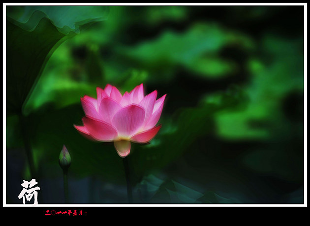 http://i.dcview.tw/gallery/201105/bc7bdce5b8a727d0961dea4c967f4a07.jpg