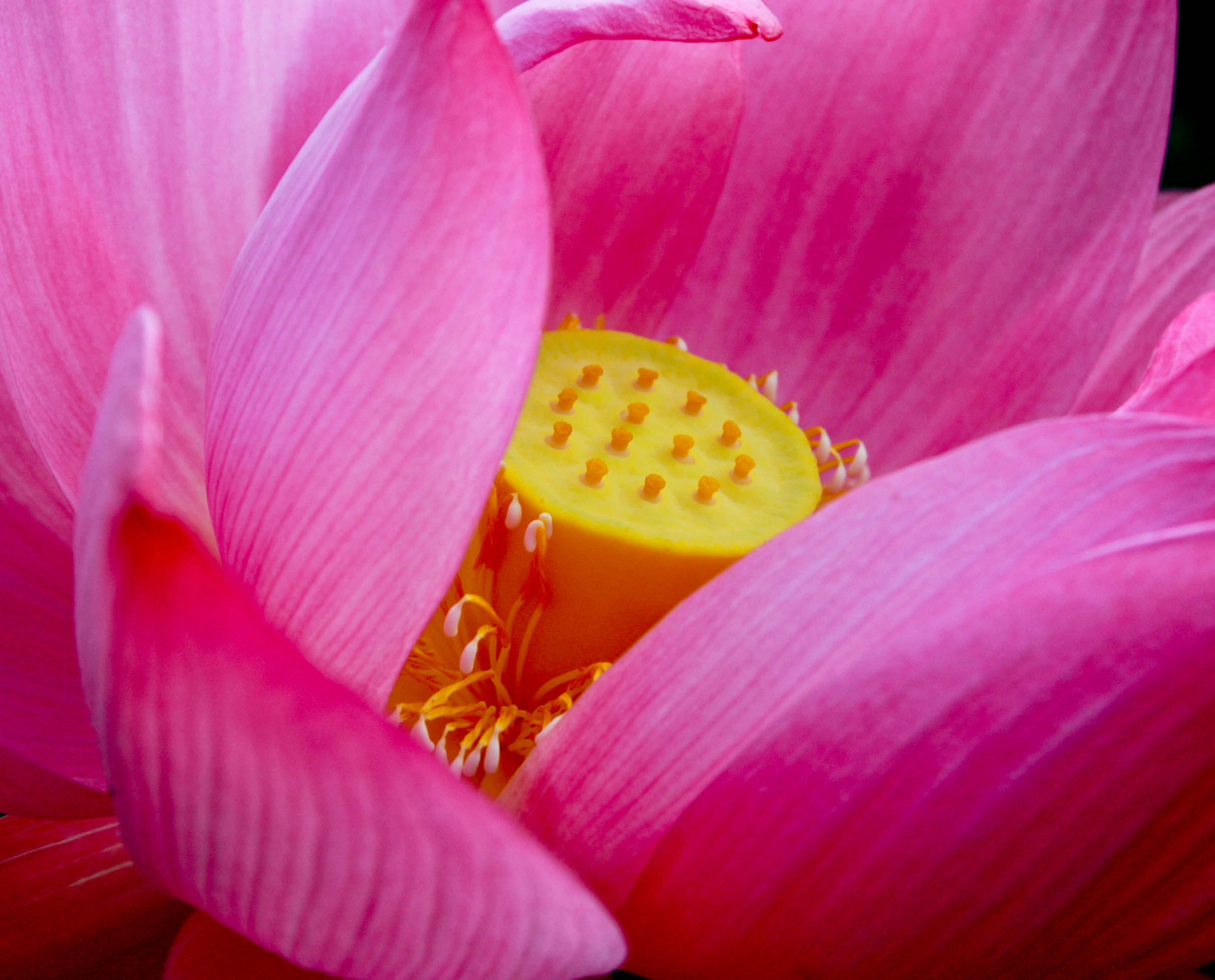http://i.dcview.tw/gallery/201105/c0475da8a3d223d00436ce8a278bd2a0.jpg