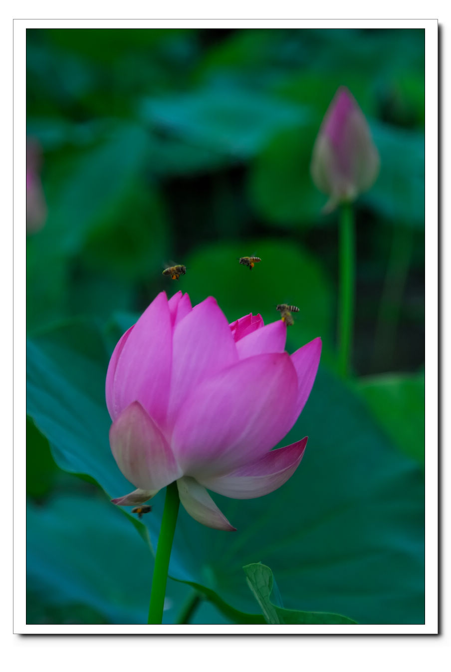 http://i.dcview.tw/gallery/201105/c150aea90ec455a24a5d2544a6cea7dc.jpg