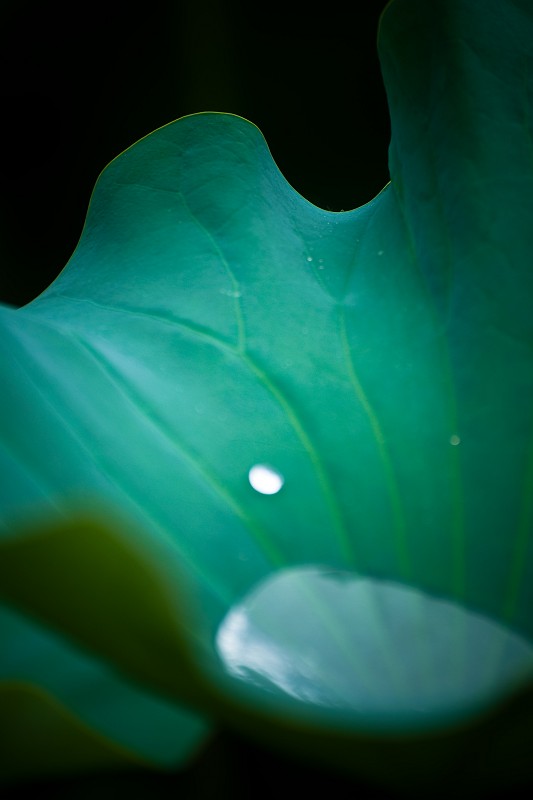 http://i.dcview.tw/gallery/201105/cc50c97e64915f0ccb5ceb697fffa235.jpg