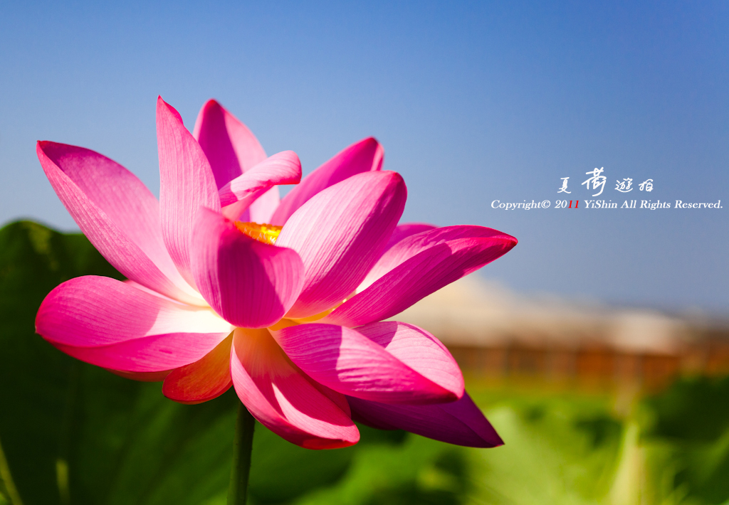 http://i.dcview.tw/gallery/201105/d06cbc94d7e83ee33b7e654848776b61.jpg