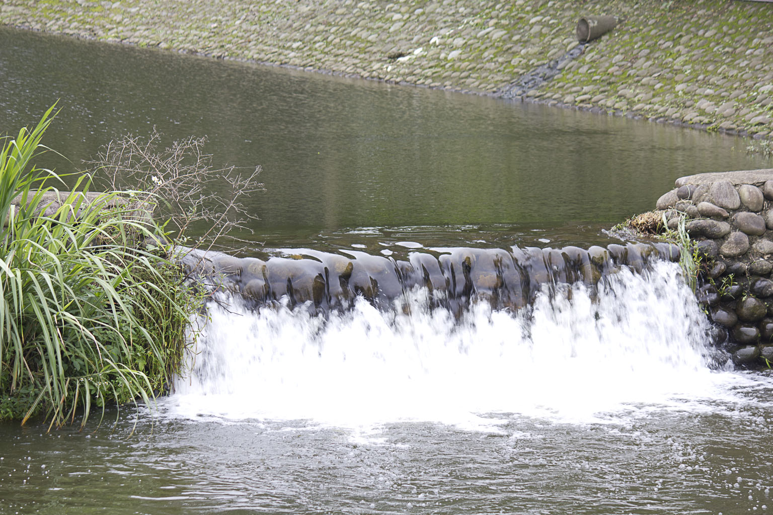 http://i.dcview.tw/gallery/201105/d8cfae306043a074fac6e5f1dc788ca2.jpg