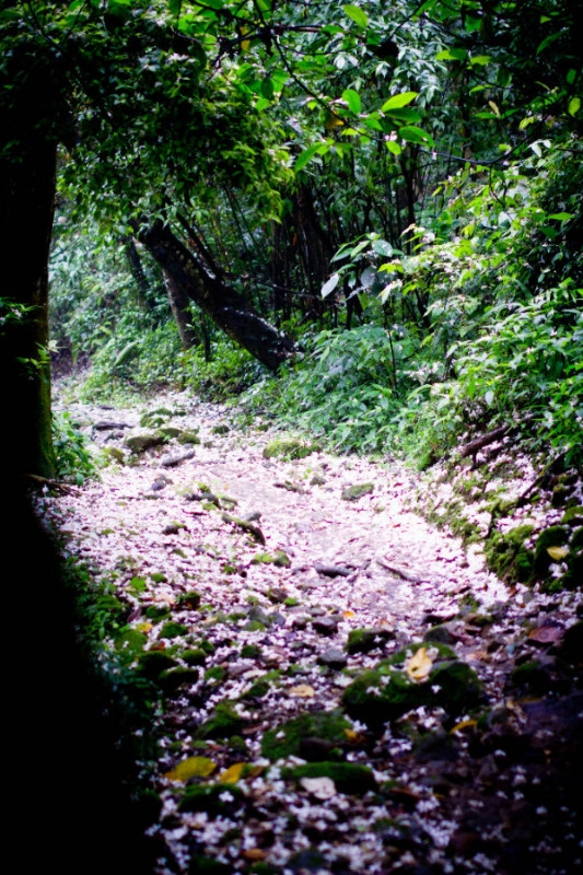 http://i.dcview.tw/gallery/201105/db0928f8d72612389f62f55b4b1ee3ab.jpg