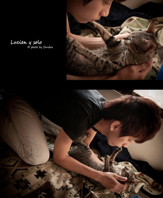 http://i.dcview.tw/gallery/201105/db1cc7a998b92f07e1bc15d2e509d2e3.jpg